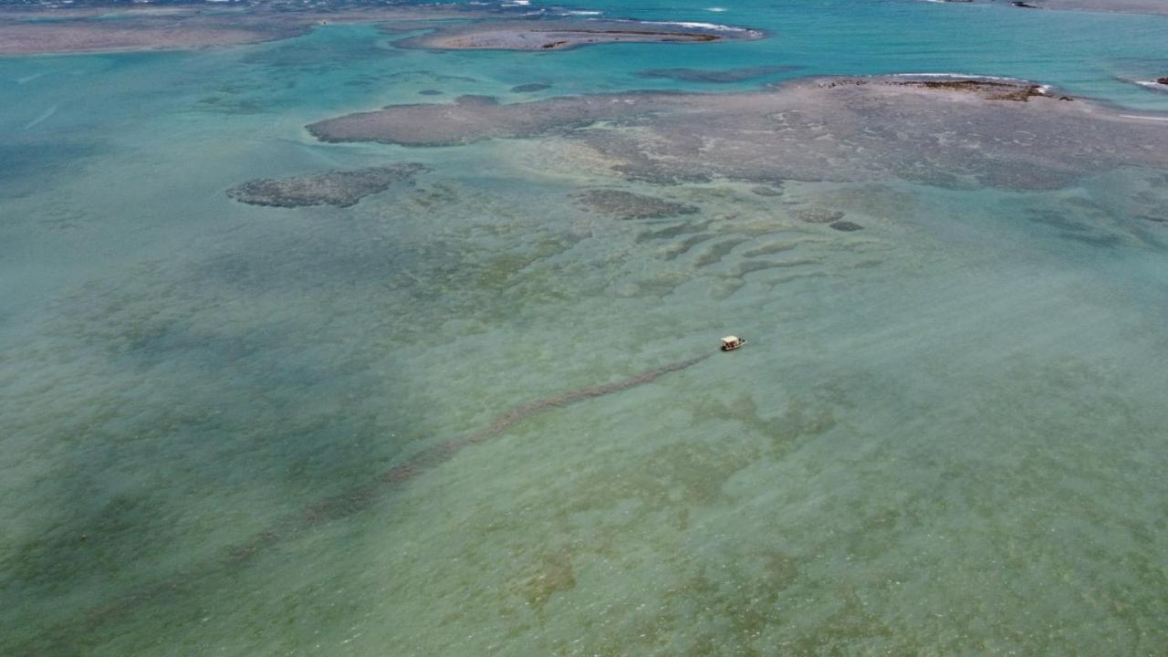 Chales Sol De Milagres São Miguel dos Milagres Exterior foto